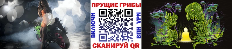 мориарти наркотические препараты  Дубовка  Галлюциногенные грибы мицелий 